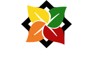 دامون نهاده پارسیان